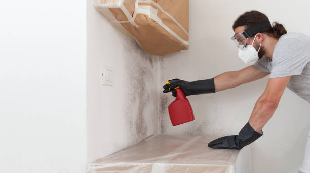 Professional Bathroom Mold Removal technician working in Lake Forest, IL