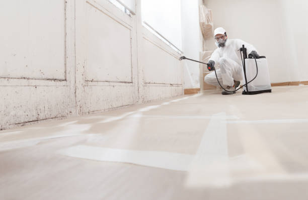 24/7 Emergency Bathroom Mold Removal experts in Lake Forest, IL